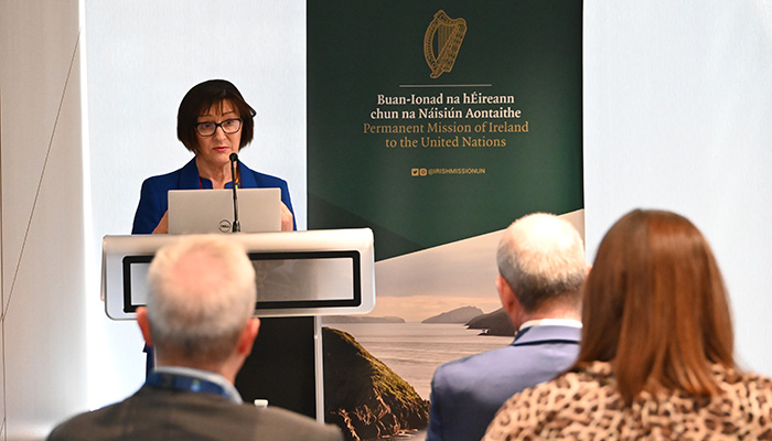 Professor Dolores O'Riordan speaking at UN Symposium